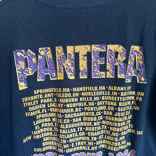 Vintage pantera far beyond driven